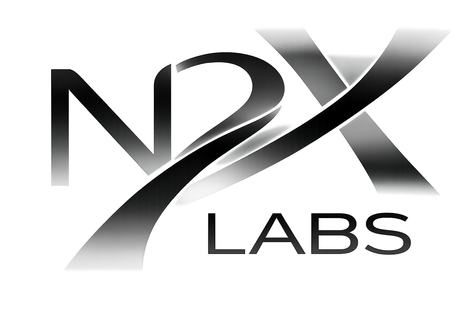 N2X Labs logo